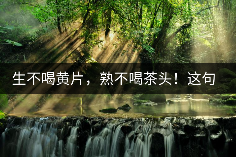 生不喝黃片，熟不喝茶頭！這句話你了解多少？
