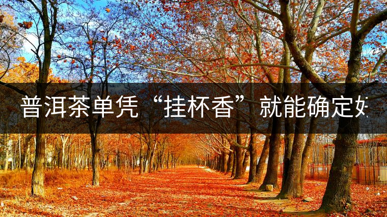 普洱茶單憑“掛杯香”就能確定好壞？you錯了！