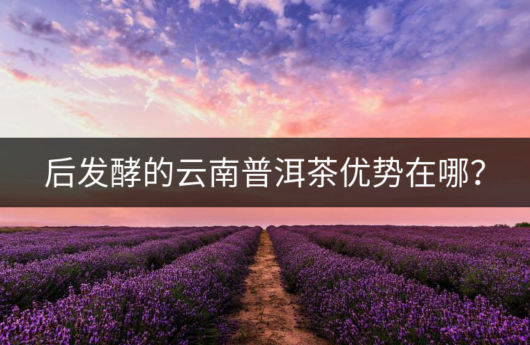 后發(fā)酵的云南普洱茶優(yōu)勢在哪？