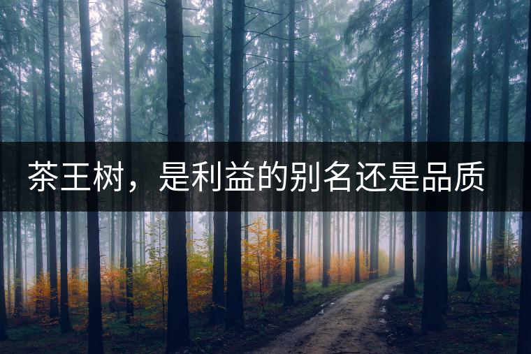 茶王樹，是利益的別名還是品質(zhì)的象征？