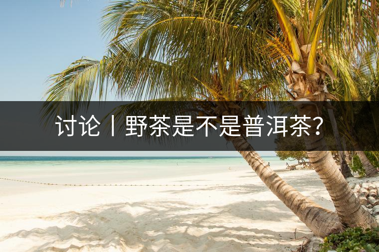 討論丨野茶是不是普洱茶？