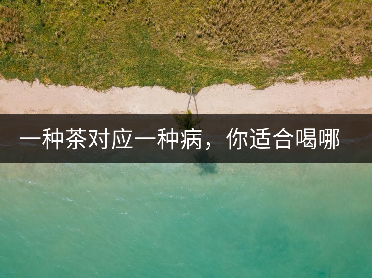 一種茶對(duì)應(yīng)一種病，你適合喝哪一種呢？
