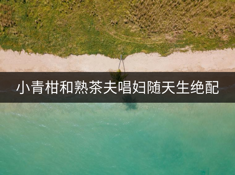 小青柑和熟茶夫唱婦隨天生絕配 小青柑和熟茶夫唱婦隨天生絕配