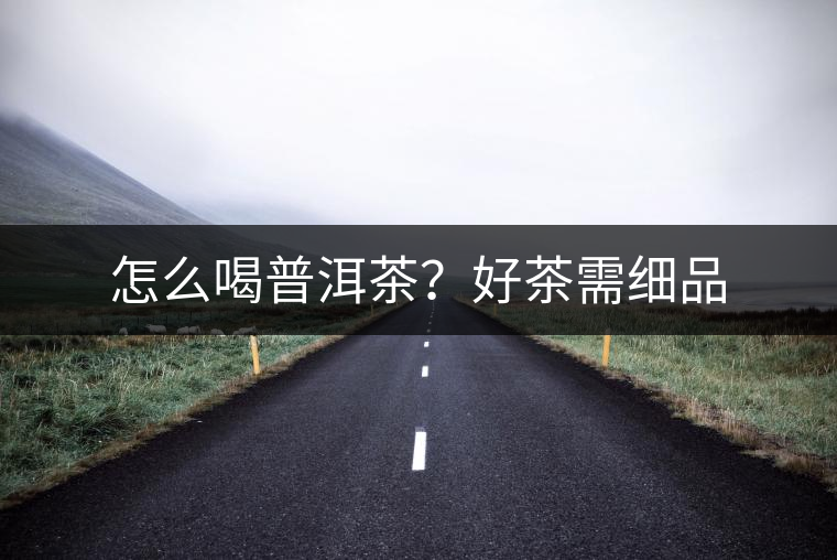 怎么喝普洱茶？好茶需細(xì)品