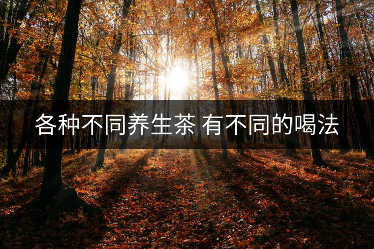 各種不同養(yǎng)生茶 有不同的喝法 各種不同養(yǎng)生茶 有不同的喝法
