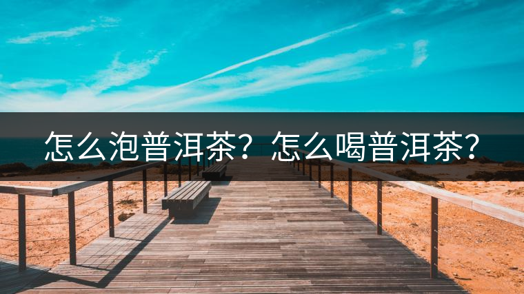 怎么泡普洱茶？怎么喝普洱茶？