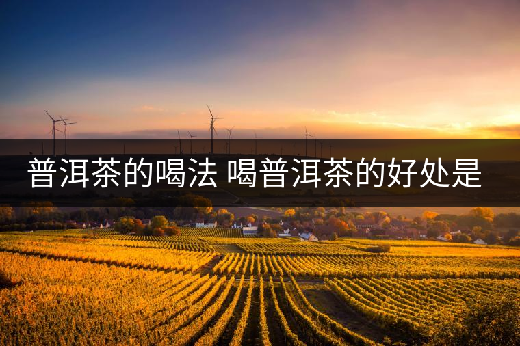 普洱茶的喝法 喝普洱茶的好處是什么？