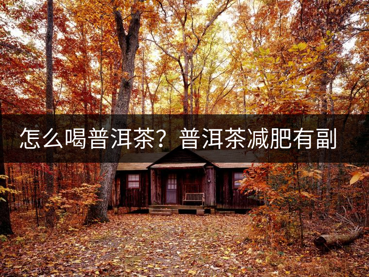 怎么喝普洱茶？普洱茶減肥有副作用嗎？