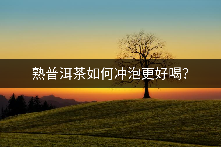 熟普洱茶如何沖泡更好喝？