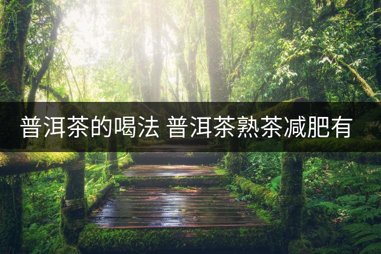 普洱茶的喝法 普洱茶熟茶減肥有什么效果嗎？