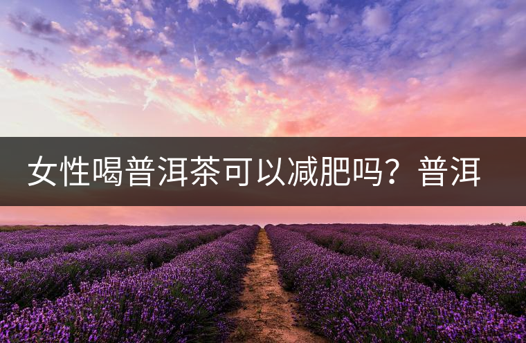女性喝普洱茶可以減肥嗎？普洱茶的功效又有哪些呢？