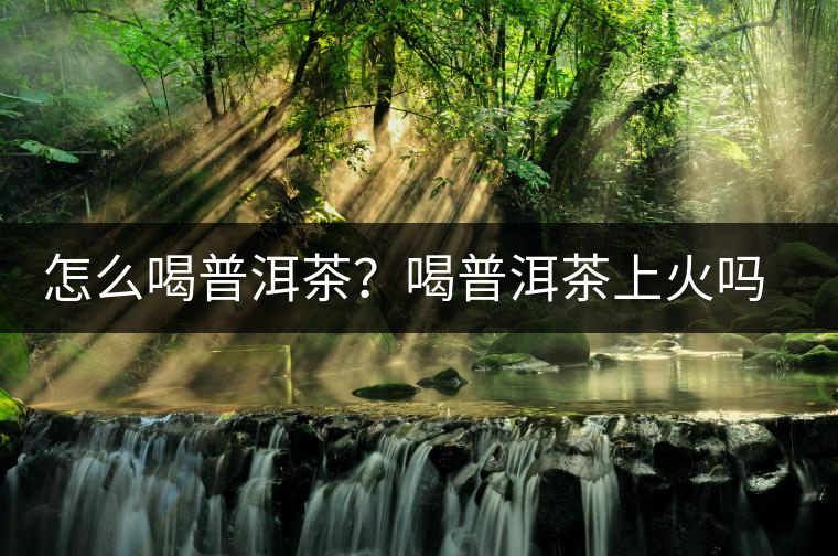 怎么喝普洱茶？喝普洱茶上火嗎？喝普洱茶會不會上火？