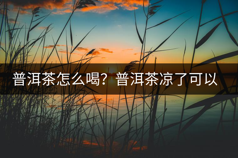 普洱茶怎么喝？普洱茶涼了可以喝嗎？