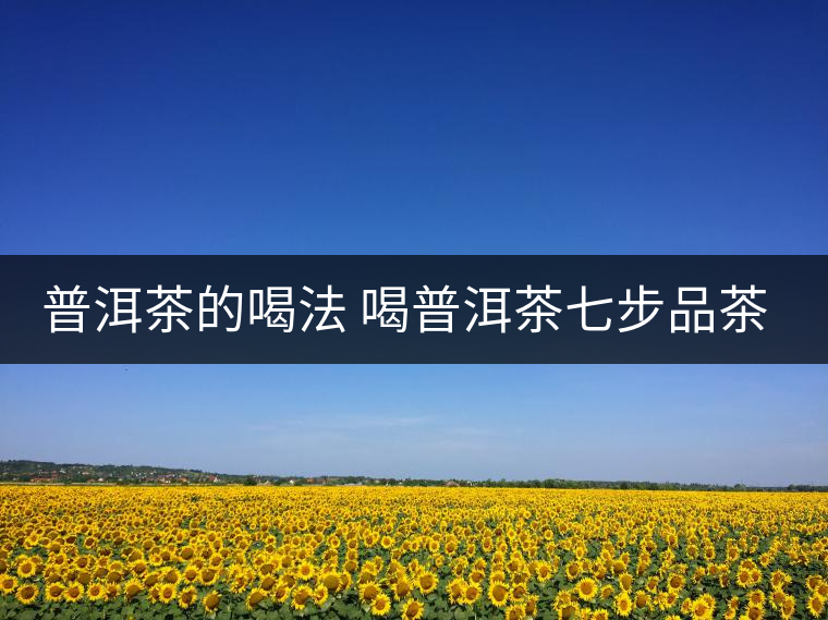 普洱茶的喝法 喝普洱茶七步品茶方法