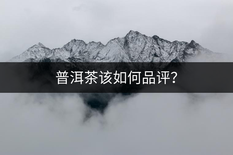 普洱茶該如何品評？
