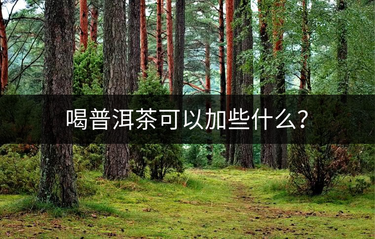 喝普洱茶可以加些什么？