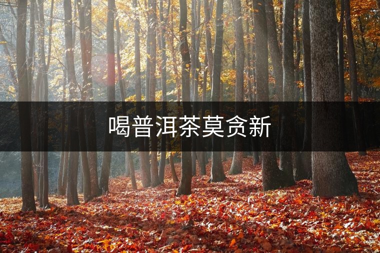 喝普洱茶莫貪新 喝普洱茶莫貪新