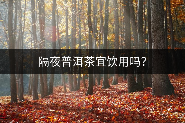 隔夜普洱茶宜飲用嗎？