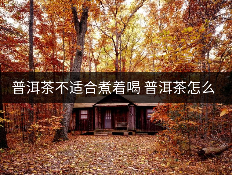 普洱茶不適合煮著喝 普洱茶怎么喝？