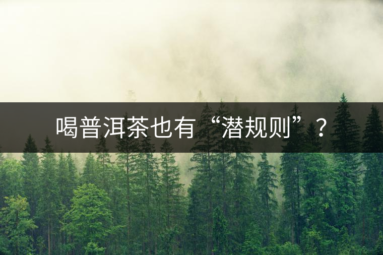 喝普洱茶也有“潛規(guī)則”？