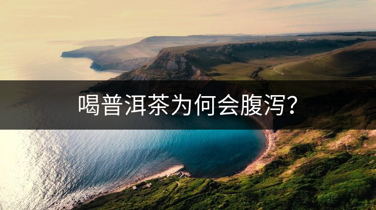 喝普洱茶為何會(huì)腹瀉？