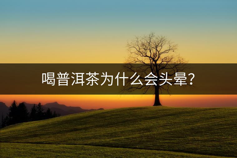 喝普洱茶為什么會頭暈？