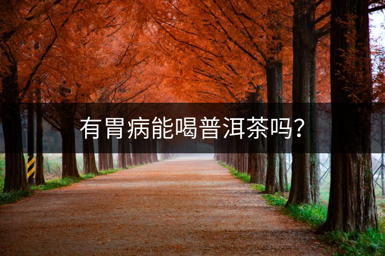 有胃病能喝普洱茶嗎？