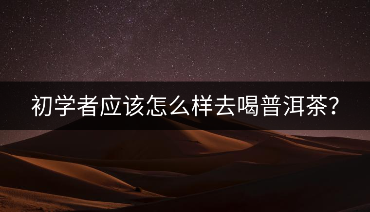 初學(xué)者應(yīng)該怎么樣去喝普洱茶？