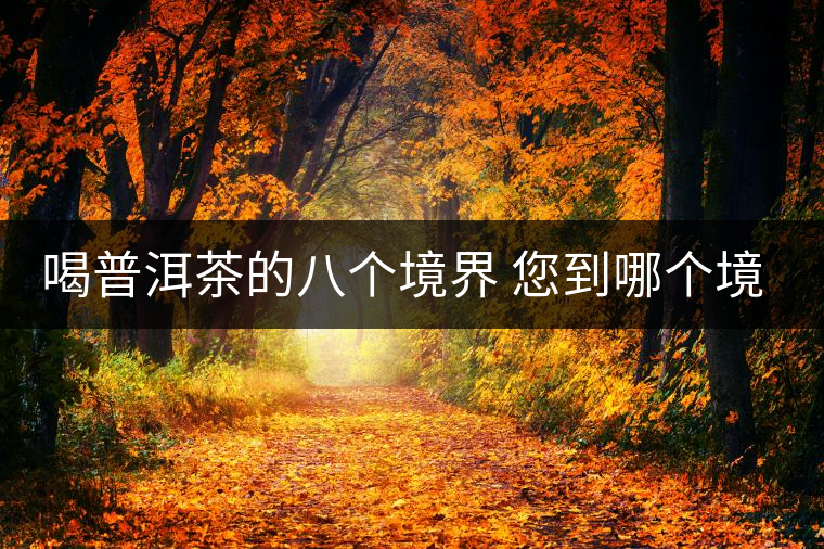 喝普洱茶的八個境界 您到哪個境界了？