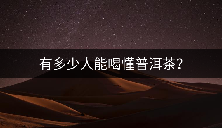 有多少人能喝懂普洱茶？