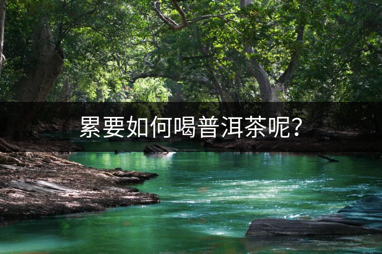 累要如何喝普洱茶呢？