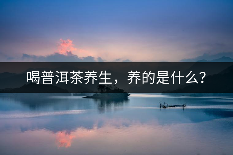 喝普洱茶養(yǎng)生，養(yǎng)的是什么？