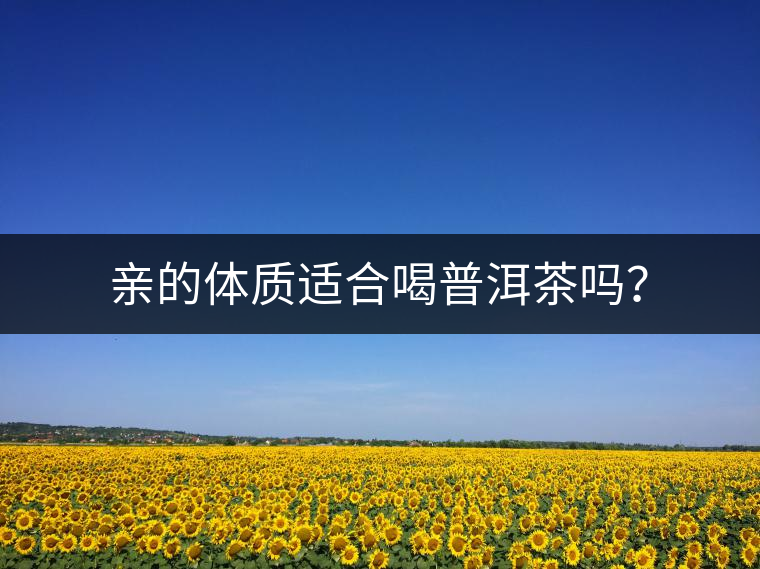 親的體質(zhì)適合喝普洱茶嗎？