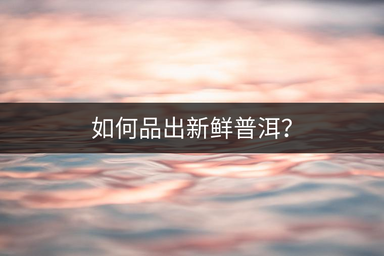 如何品出新鮮普洱？