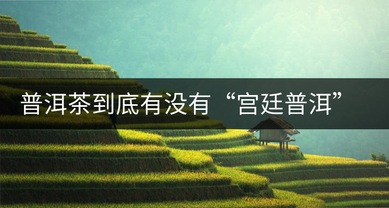 普洱茶到底有沒有“宮廷普洱”一說？它到底是什么？