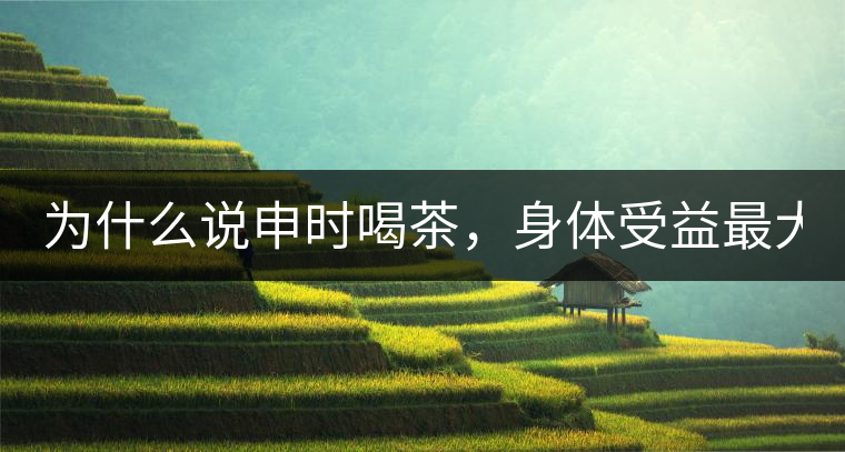 為什么說(shuō)申時(shí)喝茶，身體受益最大？