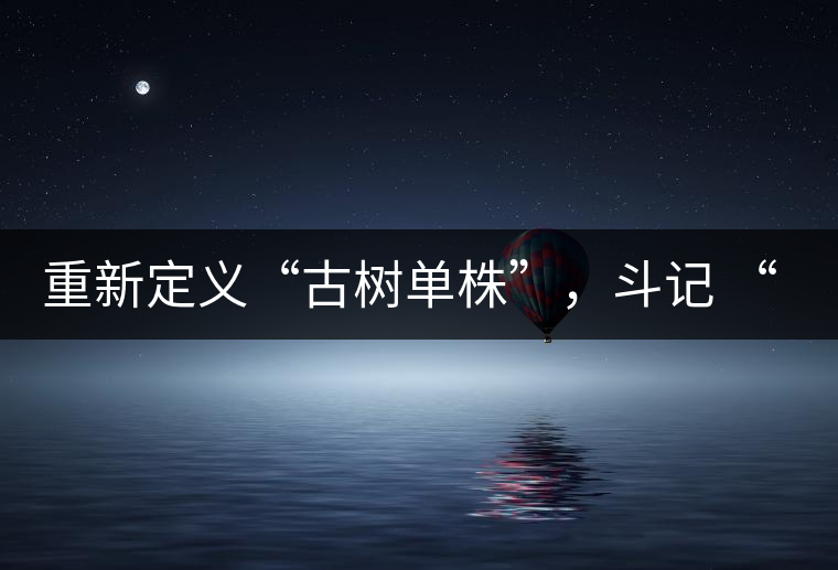 重新定義“古樹單株”，斗記 “超級審評”有償招募告罄在即！