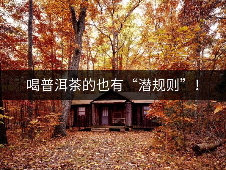 喝普洱茶的也有“潛規(guī)則”！