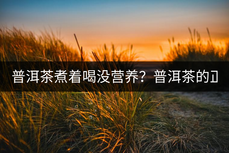 普洱茶煮著喝沒營養(yǎng)？普洱茶的正確煮法！