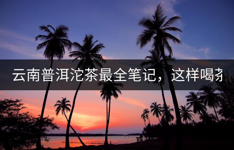 云南普洱沱茶最全筆記，這樣喝茶才更健康！