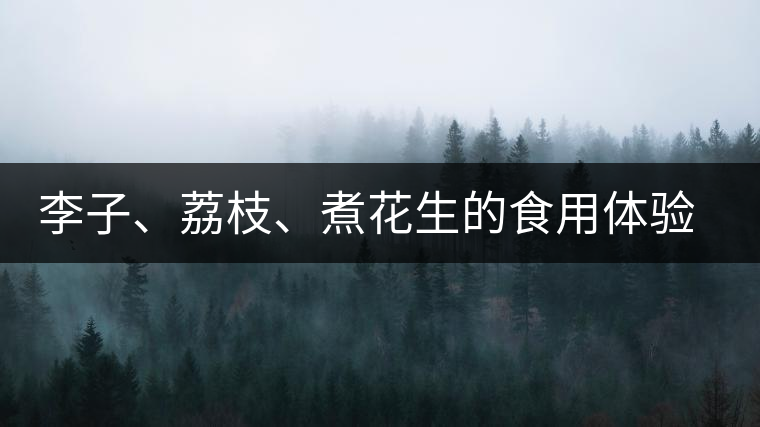 李子、荔枝、煮花生的食用體驗(yàn)來(lái)比對(duì)普洱茶的湯體口感
