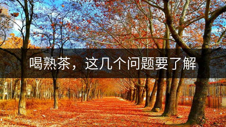 喝熟茶，這幾個問題要了解