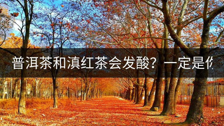 普洱茶和滇紅茶會發(fā)酸？一定是你這么做了！