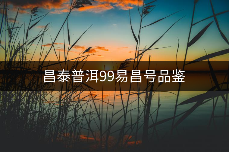 昌泰普洱99易昌號(hào)品鑒