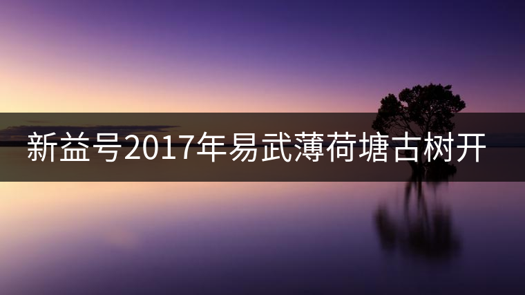 新益號2017年易武薄荷塘古樹開湯 新益號2017年易武薄荷塘古樹開湯