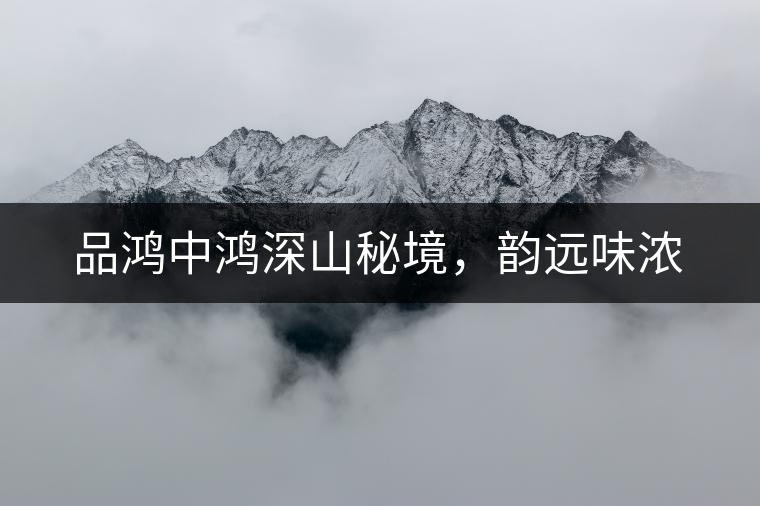 品鴻中鴻深山秘境，韻遠味濃
