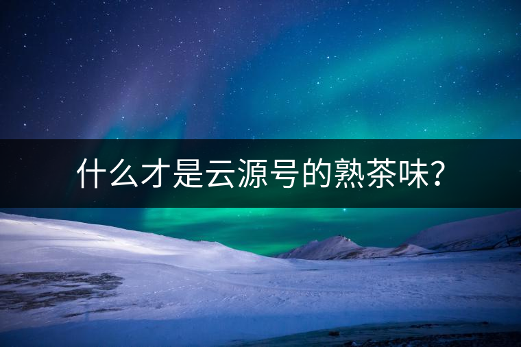 什么才是云源號(hào)的熟茶味？