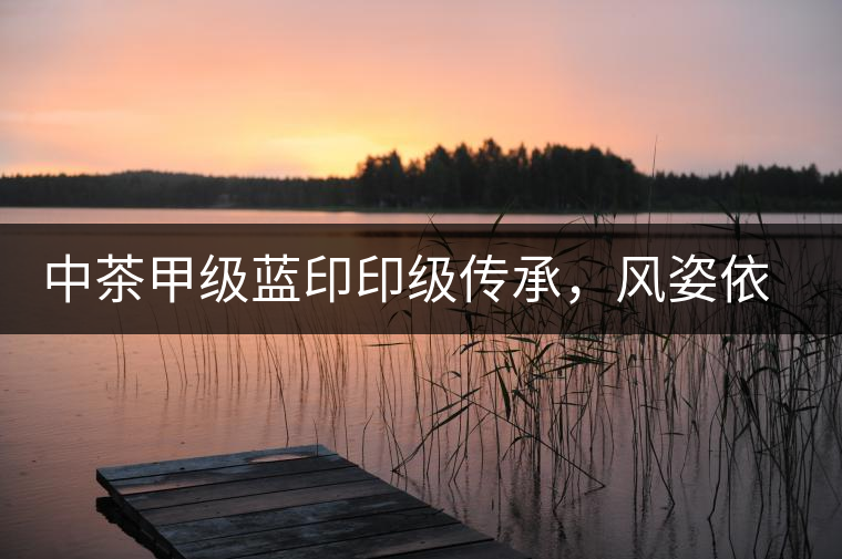 中茶甲級藍印印級傳承，風(fēng)姿依舊