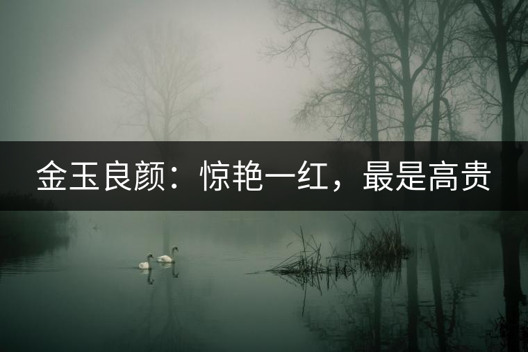 金玉良顏：驚艷一紅，最是高貴