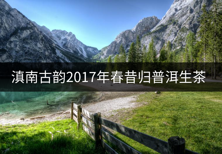 滇南古韻2017年春昔歸普洱生茶官方評測 滇南古韻2017年春昔歸普洱生茶官方評測